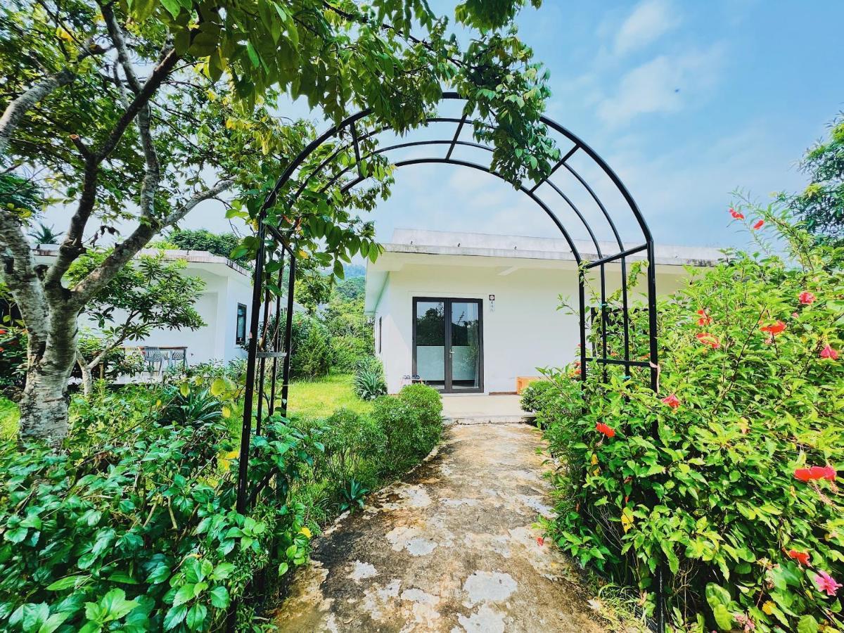 Rose Villas & Resort - Ba VI Son Tay Kültér fotó